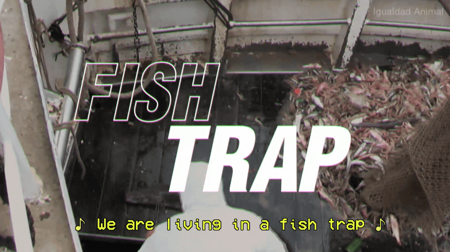 fish-trap