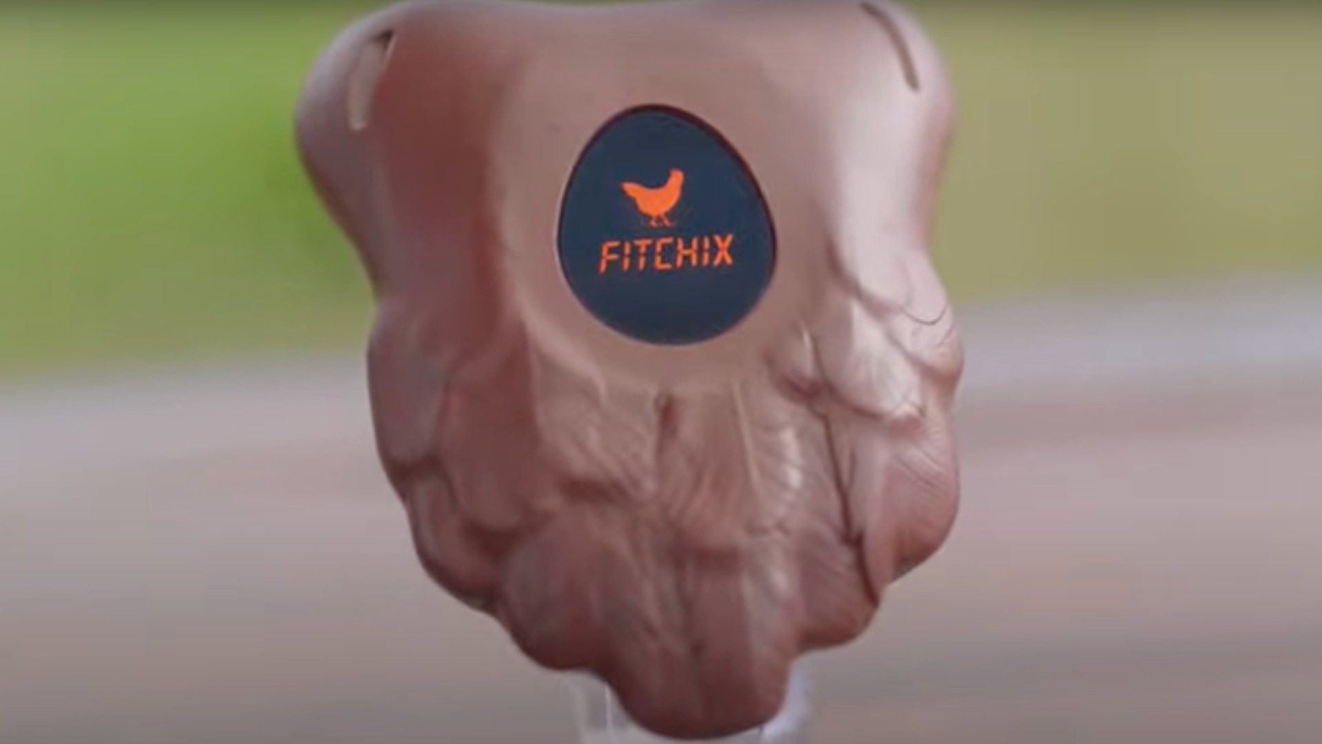 Una imagen del dispositivo Fitchix