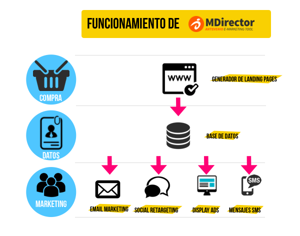mdirector
