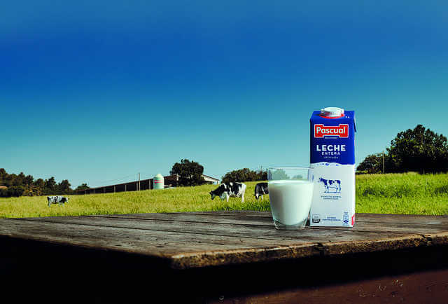 Monopolio Desalentar bisonte Pascual se posiciona como el mejor productor de leche