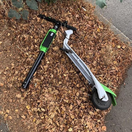 _alt_