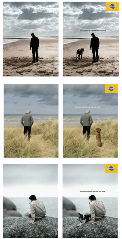 pedigree-perro