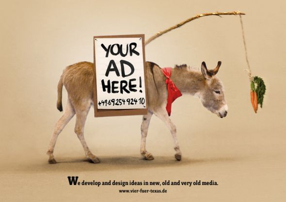 publicidad-burro