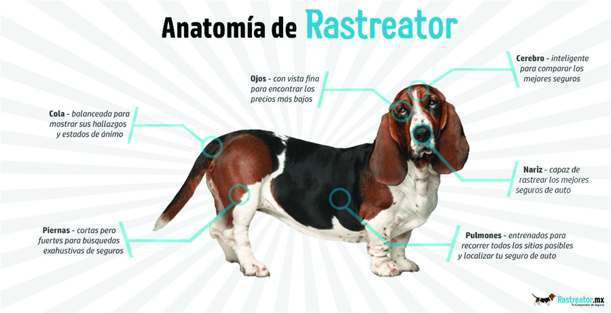 rastreator-mexico