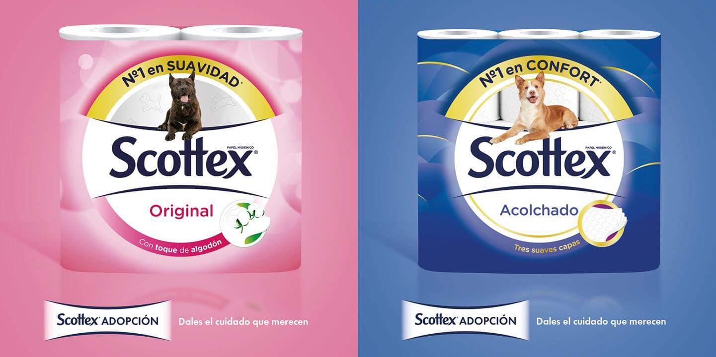 scottex-perros-abandonados