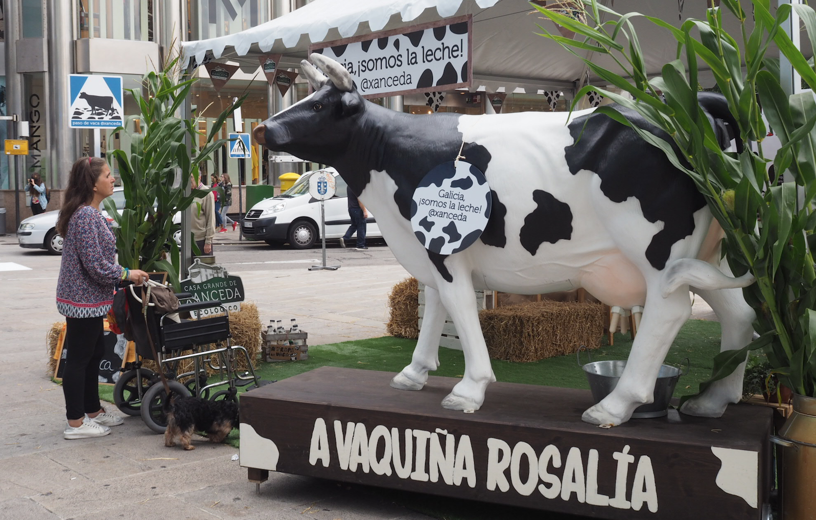 vaca-casagrandexanceda
