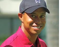 woods
